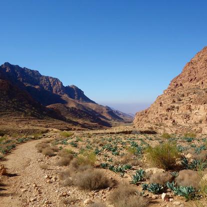 A Découvrir en Jordanie - La réserve naturelle de Dana