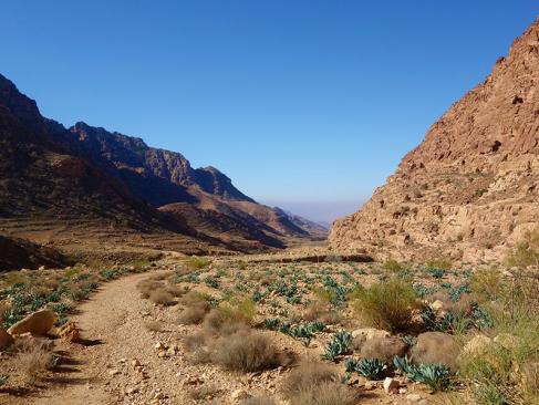 Canyon De Dana A Découvrir en Jordanie - La réserve naturelle de Dana