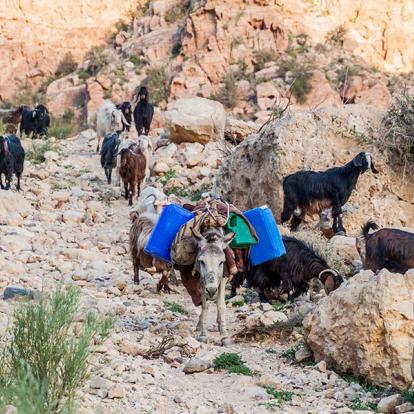 Wadi Dana Canyon Dans A Réserve Naturelle De Dana A Découvrir en Jordanie - La réserve naturelle de Dana