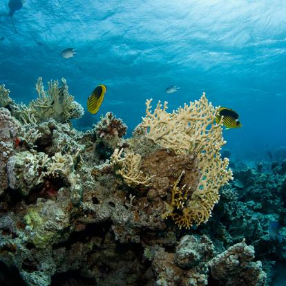 A Découvrir en Jordanie - Aqaba