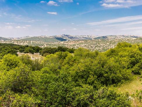 Sentier Des Chevreuils Dans La Réserve Forestière D'Ajloun En Jordanie A Découvrir en Jordanie - Ajlun