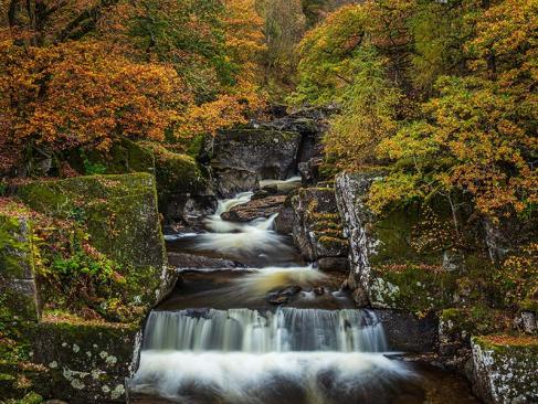 A Découvrir en Ecosse - Le Loch Lomond