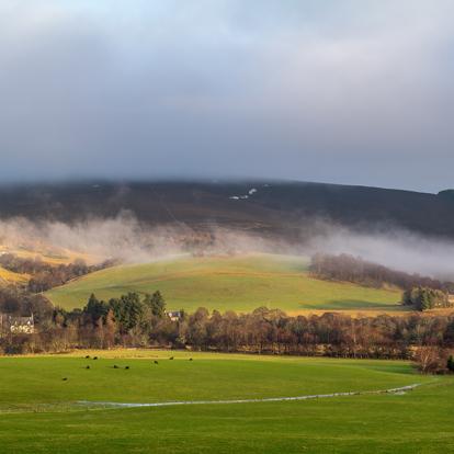 A Découvrir en Ecosse - La Vallée de Speyside