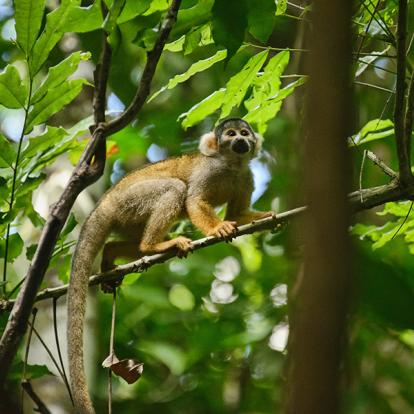 A Découvrir au Pérou - Puerto Maldonado