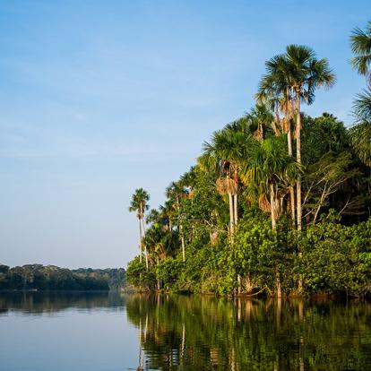 Lac Sandoval, Réserve Nationale De Tambopata A Découvrir au Pérou - Puerto Maldonado