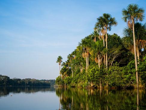 Lac Sandoval, Réserve Nationale De Tambopata A Découvrir au Pérou - Puerto Maldonado