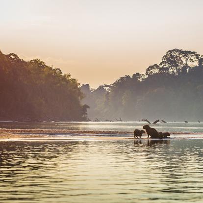 A Découvrir au Pérou - Parc National de Manú