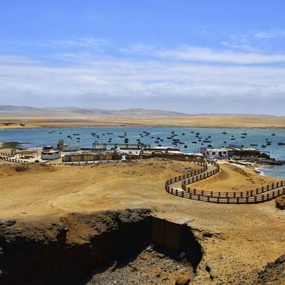 A Découvrir au Pérou - Paracas