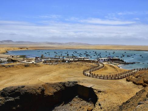 A Découvrir au Pérou - Paracas