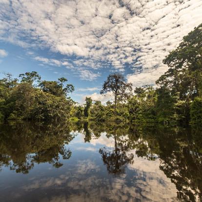 A Découvrir au Pérou - La Réserve nationale de Pacaya-Samiria