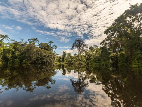 A Découvrir au Pérou - La Réserve nationale de Pacaya-Samiria