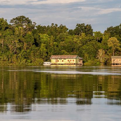 A Découvrir au Pérou - La Réserve nationale de Pacaya-Samiria