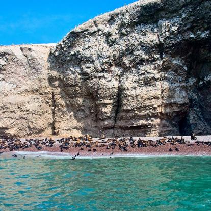 Islas Ballestas A Découvrir au Pérou - Les Islas Ballestas