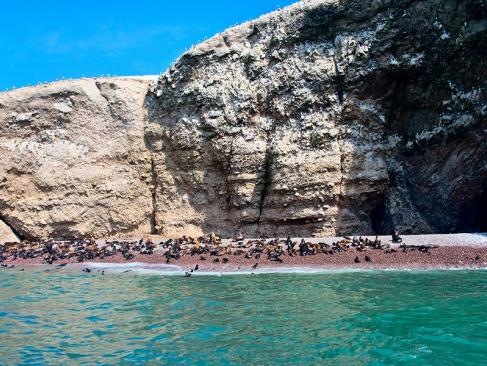Islas Ballestas A Découvrir au Pérou - Les Islas Ballestas