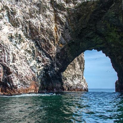 Islas Ballestas - Reserve Paracas A Découvrir au Pérou - Les Islas Ballestas