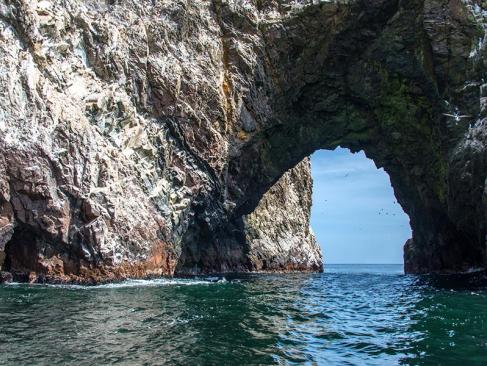 Islas Ballestas - Reserve Paracas A Découvrir au Pérou - Les Islas Ballestas