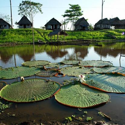 Iquitos A Découvrir au Pérou - Iquitos