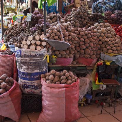 Arequipa - Marché A Découvrir au Pérou - Arequipa