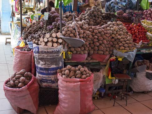 Arequipa - Marché A Découvrir au Pérou - Arequipa