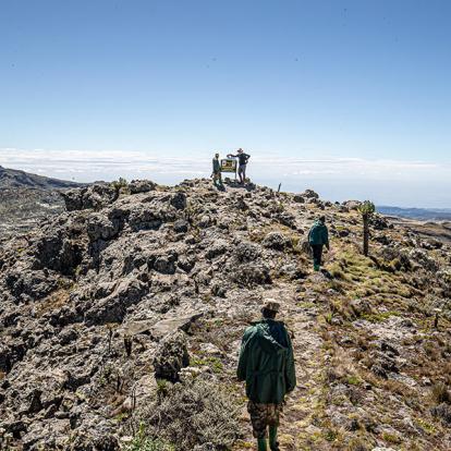 Parc National du Mont Elgon A Découvrir en Ouganda -  Le Volcan Elgon