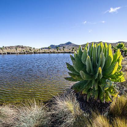 A Découvrir en Ouganda -  Le Volcan Elgon