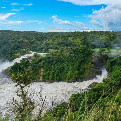 Chutes de Murchison A Découvrir en Ouganda -  Le Parc National des Chutes de Murchison