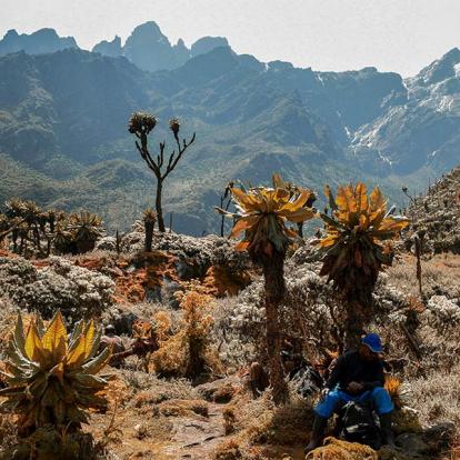 A Découvrir en Ouganda - Parc National de Rwenzori