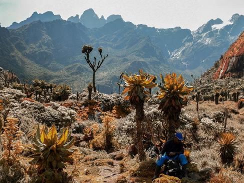 A Découvrir en Ouganda - Parc National de Rwenzori