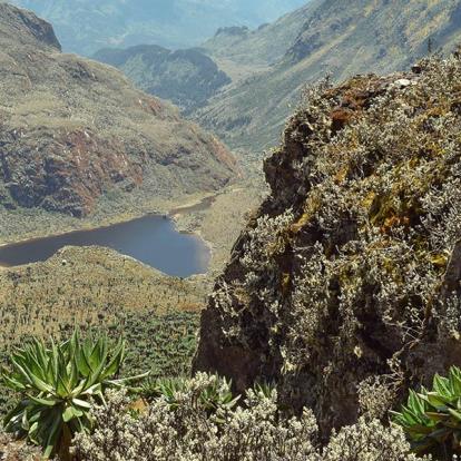 A Découvrir en Ouganda - Parc National de Rwenzori