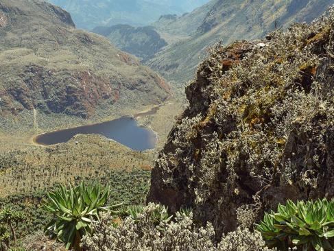 A Découvrir en Ouganda - Parc National de Rwenzori