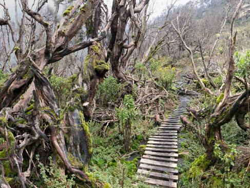 A Découvrir en Ouganda - Parc National de Rwenzori