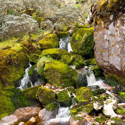 A Découvrir en Ouganda - Parc National de Rwenzori