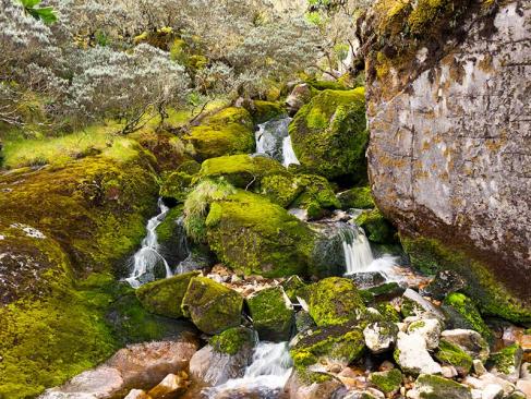 A Découvrir en Ouganda - Parc National de Rwenzori