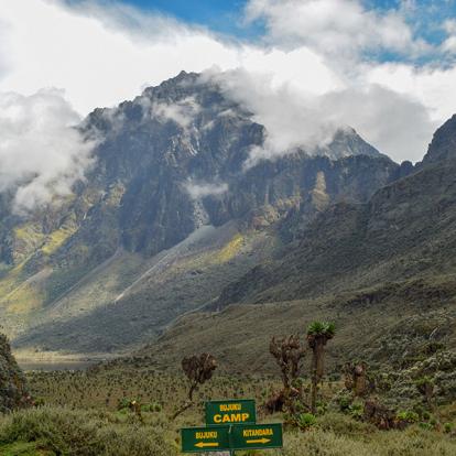 A Découvrir en Ouganda - Parc National de Rwenzori