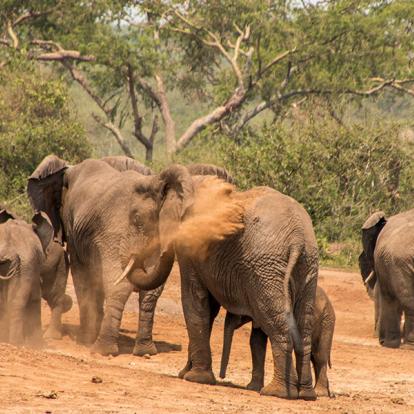 Parc National De La Reine Elizabeth A Découvrir en Ouganda - Le Parc National de la Reine Elizabeth
