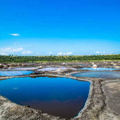 Parc National De La Reine Elizabeth - Lac Katwe A Découvrir en Ouganda - Le Parc National de la Reine Elizabeth