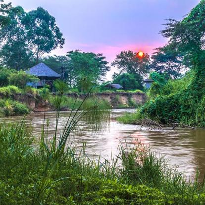Parc National De La Reine Elizabeth - Ishasha A Découvrir en Ouganda - Le Parc National de la Reine Elizabeth