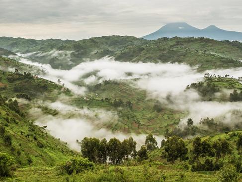 A Découvrir en Ouganda - La Forêt impénétrable de Bwindi