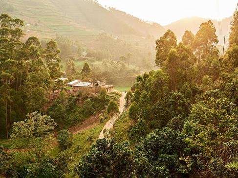 A Découvrir en Ouganda - La Forêt impénétrable de Bwindi