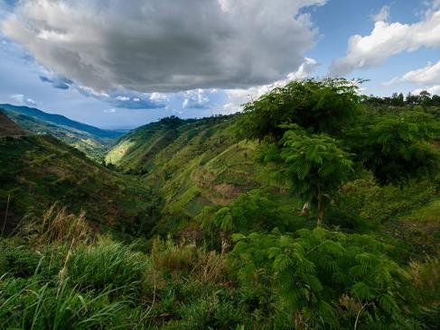 A Découvrir en Ouganda - La Forêt impénétrable de Bwindi