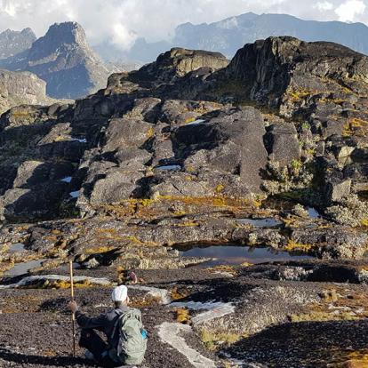 A Découvrir en Ouganda - Parc National des Monts Rwenzori