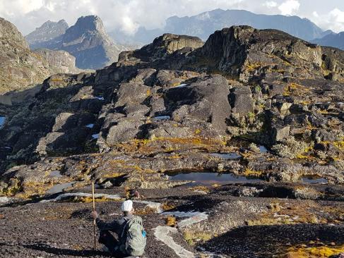 Parc National Des Monts Rwenzori A Découvrir en Ouganda - Parc National des Monts Rwenzori