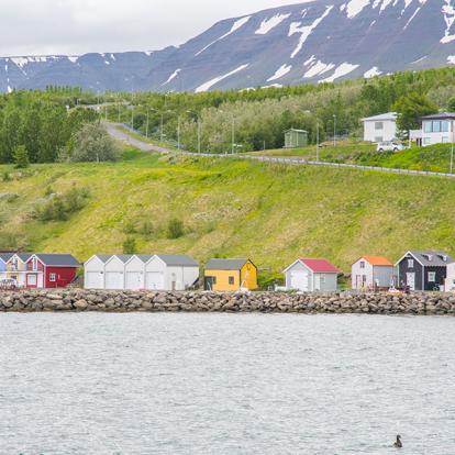 A Découvrir en Islande - La péninsule de Tröllaskagi
