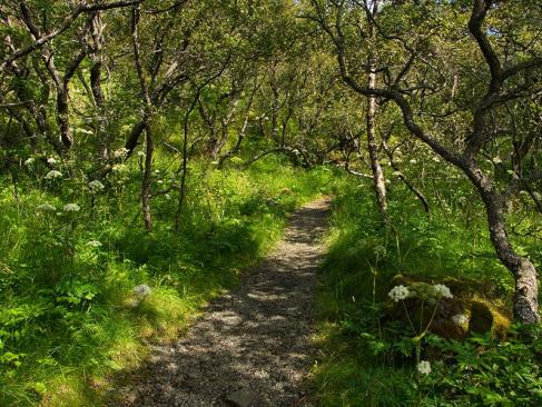 A Découvrir en Islande -  Le Parc National de Skaftafell