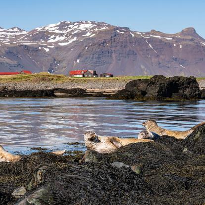 A Découvrir en Islande - La Péninsule de Snæfellsnes