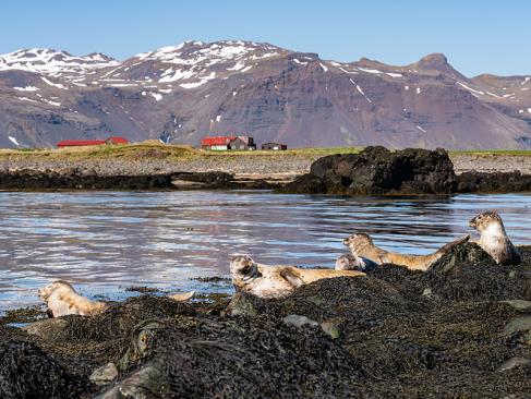 A Découvrir en Islande - La Péninsule de Snæfellsnes