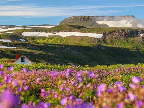 A Découvrir en Islande - La Réserve Naturelle de Hornstrandir