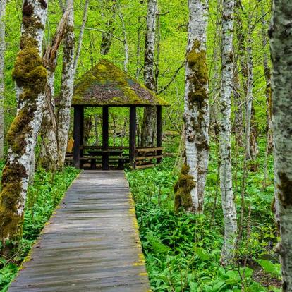 A Découvrir au Monténégro - Le Parc national Biogradska Gora