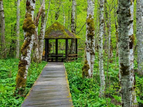 A Découvrir au Monténégro - Le Parc national Biogradska Gora
