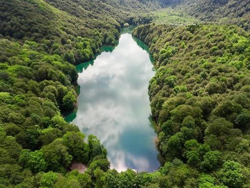 A Découvrir au Monténégro - Le Parc national Biogradska Gora